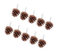 EXAOMBLE 10pcs Natural Pine Cone Parrot Chew for Bird Cage Accessories Lightweight and Easy to Carry Providing Endless Entertainment for Parrots and Small Birds