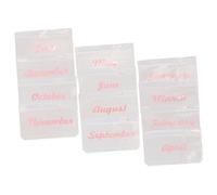 EXAOMBLE 12pcs Binder Bag Document Filing Bags Refill Pocket 6-Hole Design Water-Resistant Reusable PVC Month Money Saving Challenge Binder for Trips and Work