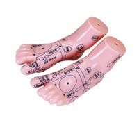 EXAOMBLE 1pair Educational Foot Acupuncture Models Reflexology Training Simulation for Schools and Clinics Compact Design for Massage Practice for Students and Practitioners