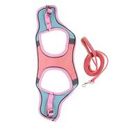 EXAOMBLE 1Set Reflective Cat Harness and Leash Outdoor Vest for Kittens Tear Resistant and Comfortable for Walking Training and Safety