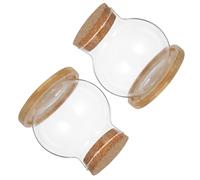 EXAOMBLE 2 Set Hydroponic Glass Plant Terrarium Jar with Bamboo Tray Cute Desktop Aquarium Vases for Succulents Flowers and Small Vegetables for Plant Lovers