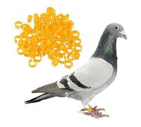 EXAOMBLE 200pcs Colorful Pigeon Racing Bands 8mm Numbered Clip-on Foot Rings for Bird Identification Poultry Accessories for Small Birds and Homing Pigeons