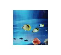 EXAOMBLE 3d Aquarium Fish Tank Background Pvc Material Removable Smooth Surface for Bedroom and Home Decor Fish Tank Decorations