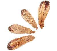 EXAOMBLE 4pcs Parrot Foraging Chew Durable Safe Pet for Birds Reduces Boredom Furniture Damage for Parrots Budgies Birds Enhances Mental Health