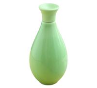 EXAOMBLE 80ml Ceramic Medicine Container with Humidity Protection and Organiser Feature, Green Mini Pill Holder Suitable for Loose Tea Storage and Medication Organisation