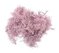 EXAOMBLE Artificial Purple Taro Reindeer Moss Craft Kit, DIY Micro Landscape Preserved Moss for Wall Decoration and Floral Arranging, Fake Green Plant Material for Home and Garden Decor