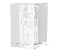 EXAOMBLE Crystal Cube and Fine Craftsmanship Human Skeleton Anatomy Model with Realistic Display Unique 3d Design for Science Education and Office Display, for Students and Home Decor