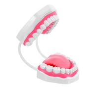 EXAOMBLE Dental Hygiene Tooth Model for Students and Teachers, Realistic PVC Structure Simulation with Multifunctional Features, for Orthodontic Study and Cleaning Demonstrations