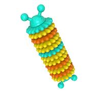 EXAOMBLE Interactive Caterpillar Dog Chew Durable Tpr Material Fun Toothbrush Design for Pet Care Engaging for Play Training Helps Prevent Destructive Behavior