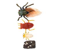 EXAOMBLE Lifelike Cicada Growth Cycle Model Educational for Multifunctional Model for Cognitive Development and Creative Learning