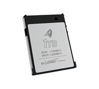 Exascend 1TB Archon CFexpress Card Type-B, up to 1,700MB/s, RED Approved and Compatible with Canon, Nikon, Panasonic and Other Cameras. (1TB)