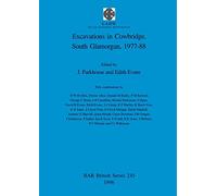Excavations in Cowbridge, South Glamorgan, 1977-1988: 245 (British Archaeological Reports British Series)