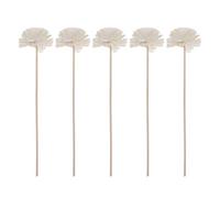 EXCEART 5 Pcs Reed Diffuser Sticks Flower Reed Diffuser Rattan Reed Sticks Straight Aroma Oil Sticks Fragrance Reed Diffuser Fiber Reed Diffuser Replacement for Aromatherapy Home Office