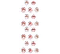 EXCEART Natural Sea Urchin Shell Air Plant Pot 2.36X1.97X1.97In Nautical Home Ornament 20 Pack Tabletop Decoration Small Air Plant Planter