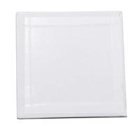 EXCEART Painting Canvas 10pcs 4x4 inch Canvas Panels Professional Artist Quality Acid Canvas Panel Boards Artist Canvas Boards for Canvas 4x4