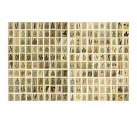 EXCEART Retro Handbook Memo Message Cards 2 Packs Paper Set