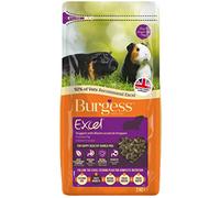 Excel Burgess Guinea Pig Nuggets Blackcurrant and Oregano, 2 kg