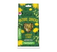Burgess Excel Nature Snacks Lucicious Leaves - 60g
