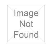 Excel Cat6 Patch Lead U/Utp Unshielded Lsoh Blade Booted 10M Black