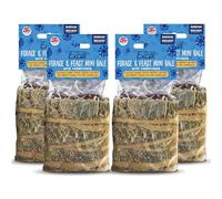 Burgess Excel Forage and Feast Mini Bale with Cornflower - 100g