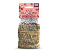 Excel Forage & Feast Mini Bale with Rosehip, 100g - Mini Hay Bale Treat for Rabbits & Guinea Pigs - Natural Snack Topped with Rosehip