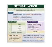 Excel Lookup Functions Poster MATCH Formula Educational Canvas Wall Art for Spreadsheet Users Home Office and Study Decor(Framed,12x18inch(30x45cm))