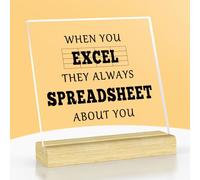 Excel Spreadsheet Gifts Excel Gift for Coworkers Acrylic Plaque with Stand Spreadsheet Presents for HR CPA Accountant Presents Humor Keepsake for Boss Colleague Friend Christmas Birthday Decor