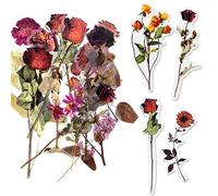 ExceLife Large Size Flower Plants Scrapbook Stickers, Self-Adhesive Vintage Plants Flowers Leaves PET Transparent Stickers DIY Crafts for Scrapbook Laptops Card Making Junk Bullet Journal Planner, Red