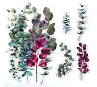 ExceLife Large Size Flower Plants Scrapbook Stickers, Self-Adhesive Vintage Plants Leaves PET Transparent Stickers DIY Crafts for Laptops Card Making Junk Bullet Journal Planner, Eucalyptus