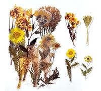 ExceLife Large Size Flower Plants Scrapbook Stickers, Self-Adhesive Vintage Plants Leaves PET Transparent Stickers DIY Crafts for Laptops Card Making Junk Bullet Journal Planner, Sunflower
