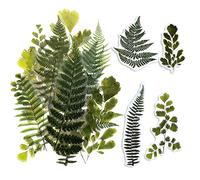 ExceLife Large Size Flower Plants Scrapbook Stickers, Self-Adhesive Vintage Plants Leaves PET Transparent Stickers DIY Crafts for Laptops Card Making Junk Bullet Journal Planner, Fern