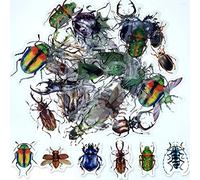 ExceLife Retro Insect Stickers Set, Self-Adhesive PET Transparent Waterproof Insects Stickers for Scrapbooking, Journal, Album, Phone Case, Laptop, Card Making, 40Pcs (Insect)