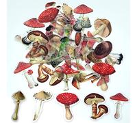 ExceLife Retro Mushroom Stickers Set, Self-Adhesive PET Transparent Waterproof Mushroom Stickers for Scrapbooking, Journal, Album, Phone Case, Laptop, Card Making, 40Pcs