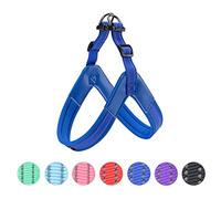 EXCELLENT ELITE SPANKER No Pull Dog Harness Step-in Adjustable Reflective Vest Soft Padded Easy Pet Chest Strap with Leash Clips for Small Medium Large Dogs Walking Training(S-BLU)
