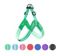 EXCELLENT ELITE SPANKER No Pull Dog Harness Step-in Adjustable Reflective Vest Soft Padded Easy Pet Chest Strap with Leash Clips for Small Medium Large Dogs Walking Training(S-GRN)