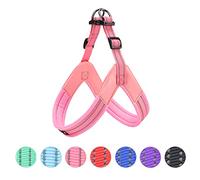 EXCELLENT ELITE SPANKER No Pull Dog Harness Step-in Adjustable Reflective Vest Soft Padded Easy Pet Chest Strap with Leash Clips for Small Medium Large Dogs Walking Training(S-PIK)