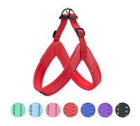 EXCELLENT ELITE SPANKER No Pull Dog Harness Step-in Adjustable Reflective Vest Soft Padded Easy Pet Chest Strap with Leash Clips for Small Medium Large Dogs Walking Training(S-RED)