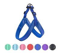 EXCELLENT ELITE SPANKER No Pull Dog Harness Step-in Adjustable Reflective Vest Soft Padded Easy Pet Chest Strap with Leash Clips for Small Medium Large Dogs Walking Training(XL-BLU)