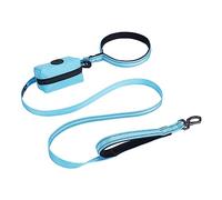 EXCELLENT ELITE SPANKER Reflective Nylon Dog Training Leash Strong durable dog leash 5 feet long 3/4" wide with poop bag holder for small dogs（Light blue）