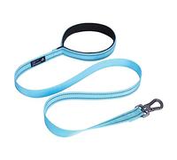 EXCELLENT ELITE SPANKER Strong Durable Nylon Dog Training Leash Traction Rope 4 Feet Long 1" Wide with Comfortable Padded Handle for Small and Medium Dog(Light Blue)