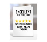 Excellent Lil Brother, I Would Recommend but not Willing to Share Card, Joke or Silly Mug for Men or Women, Funny Birthday Gifts, Present for Christmas, A5-242_141