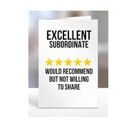 Excellent Subordinate, I Would Recommend but not Willing to Share Card, Joke or Silly Mug for Men or Women, Funny Birthday Gifts, Present for Christmas, A5-242_208