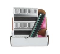 EXCEPRINT P1080383-226 Printhead for Zebra ZD420T ZD620T ZD621T Thermal Label Barcode Printer 203dpi, Premium Print Head Replacement