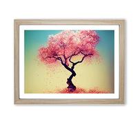 Exceptional Apple Tree Framed Wall Art Print A2 Oak