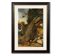 Exceptional Art c.1683 Peacock Painting - 70 x 95cm - Mounted - Black