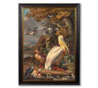 Exceptional Art c.1683 Pelican Painting - 70 x 95cm - Unmounted - Black