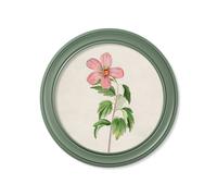 Exceptional Art c.1780 Flowering Plants Round Frame Green - 70 x 70cm - Green - Rose Of Sharon