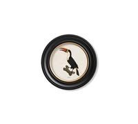Exceptional Art c.1809 Toucans - Round Frame - 44 x 44 cm - Black - Left Facing Toucan
