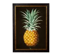 Exceptional Art c.1812 Pineapple Study (Black) - 50 x 70cm - No Mount - Black