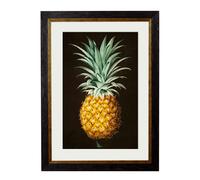 Exceptional Art c.1812 Pineapple Study (Black) - 50 x 70cm - With Mount - Black
